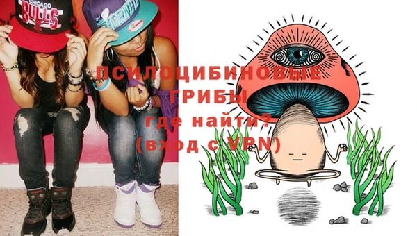 дмт Абаза