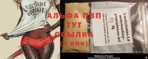 дмт Абаза