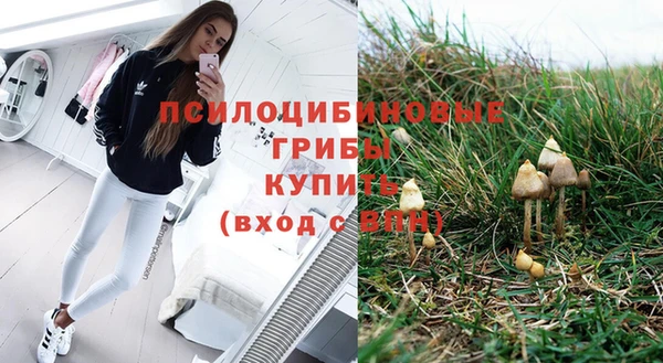 дмт Абаза