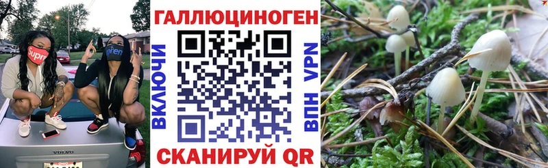 ОМГ ОМГ зеркало  Шарыпово  Псилоцибиновые грибы мухоморы 